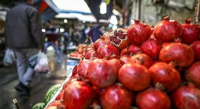 ثبات قیمت میوه در بازار شب یلدای یزد