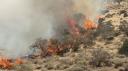 افزايش احتمال آتش سوزی در منابع طبيعي یزد/ تلفن 1504 آماده دريافت گزارش‌ها