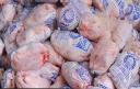 آغاز توزیع گوشت مرغ به قیمت 5800 تومان در ابرکوه
