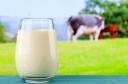 روزانه 650 تن شیر در استان یزد تولید می‌شود