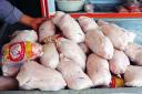 مشکلی در زمینه تولید مرغ در استان یزد وجود ندارد/ تولید روزانه بیش از 120 تن مرغ در یزد