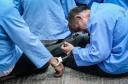 115 معتاد پر خطر در یزد جمع آوری شدند