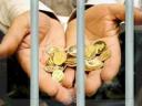 تقریباً نیمی از زندانیان محکوم مالی در یزد بدهکاران «مهریه و نفقه» هستند!