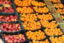 توزیع میوه عید از امروز در یزد آغاز شد/ پرتقال ۱۱۵۰۰ تومان
