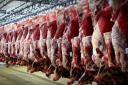 قیمت گوشت در یزد توسط اتحادیه قصابان تعیین شود