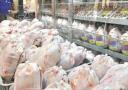 سه برابر نیاز مردم، مرغ در استان یزد توزیع می‌شود