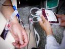 اهدای بیش از 37 هزار واحد خون در استان یزد