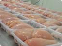 ممنوعیت عرضه مرغ فراوری شده در فروشگاه‌های توزیع مرغ استان یزد