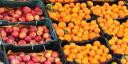 115 مرکز در شهر یزد میوه تنظیم بازار را عرضه می‌کنند