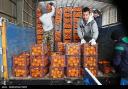 فروش میوه شب عید با ۱۵درصد تخفیف/ دولت امسال در ذخیره‌سازی میوه ورود نمی‌کند