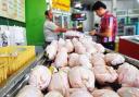 سیاست دستوری، قیمت مرغ را بیش از این افزایش خواهد داد