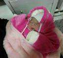 پیداشدن یک نوزاد در سطل زباله بیمارستان خمین/ نوزاد تحویل شیرخوارگاه اراک شد