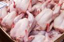 عرضه روزانه 120 تن مرغ در یزد/ فروش مرغ بالاتر از قیمت مصوب تخلف است