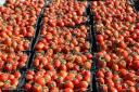 کشف 20 تن گوجه احتکاری در یزد