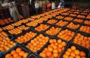 60 تن میوه تنظیم بازار شب عید در بافق توزیع می شود
