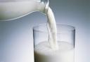عرضه مستقیم شیر کامل پاستوریزه در سطح استان یزد
