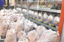نرخ مرغ در یزد ظرف یک هفته آینده به ۲۰ هزار تومان می‌رسد