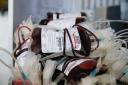 آغاز پویش «نذر خون» در محرم و صفر/ افزایش 6 درصدی اهداي خون در استان یزد