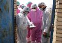 کانون آنفلوانزای فوق حاد در یزد مهار شد