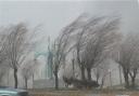 پیش‌بینی کاهش دما و وزش باد شدید در روزهای آتی برای یزد