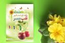 برگزاری مسابقه کتابخوانی «رازهای تسخیر قلب همسر» در یزد