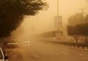 کاهش 50 درصدی آلودگی ناشی از ریزگردها در استان یزد
