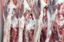 اگر مسئولین تدبیر نکنند افزایش 20 درصدی قیمت گوشت را خواهیم داشت