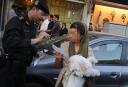 پلیس امنیت یزد در صورت مشاهده سگ‌گردانی اقدام قانونی می کند/خلا مجازات خاص برای سگ‌گردانی در قانون
