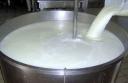 حدود ۵۰ درصد شیر تولیدی یزد صادر می‌شود