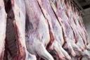 توزیع گوشت گرم گوسفندی وارداتی در استان یزد از امروز