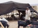 دایر شدن صندوق اعتبار خرد زنان عشایر در ابرکوه و خاتم