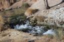 تصاویر/جلوه های زیبا از تنها رودخانه دائمی استان یزد