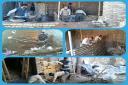 تصاویر/خدمت رسانی یزدی‌ها در مناطق زلزله‌زده کرمانشاه