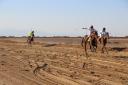 مسابقات کورس اسب دوانی در بافق به روایت تصویر